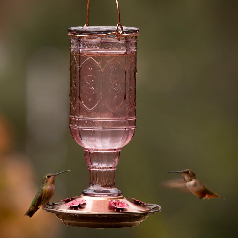 More Birds Amethyst Jewel Hummingbird Feeder - 77IN - 20 Fl Oz Nectar Capacity - Hummingbird Feeder for Outdoors - Feed 5 Hummingbirds - Vintage Design - Bird Backyard DÃƒcor - Image 2